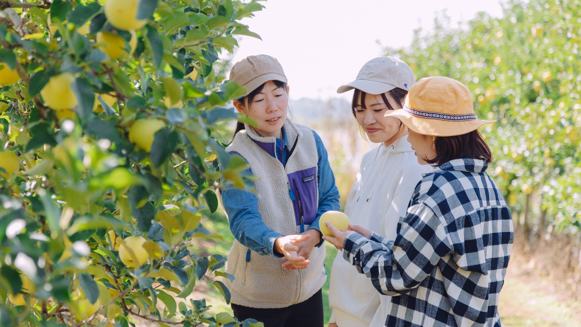 ・[Trải nghiệm Nông nghiệp] Nội dung trải nghiệm thay đổi tùy theo mùa. Sao không thử vừa vui chơi vừa suy ngẫm về nông nghiệp và ẩm thực nhỉ?