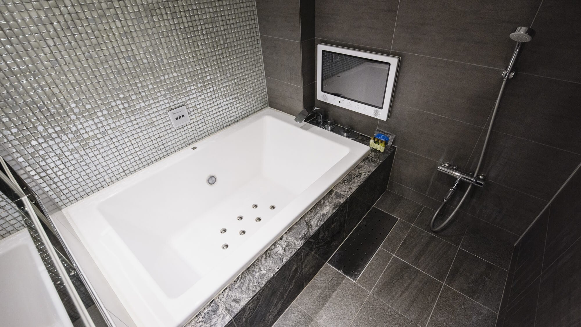 Premier double bathroom