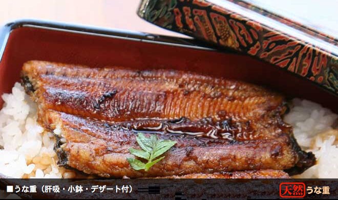 Grilled eel on rice