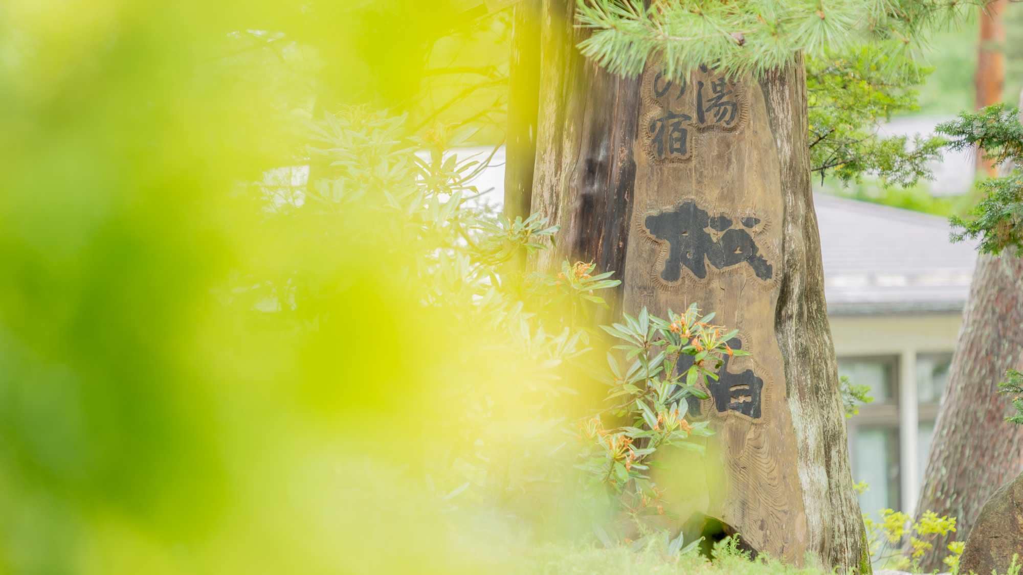 *[Exterior] Surrounded by nature, our hotel boasts a cypress bath called "Hinoki-yu." Please refresh yourself while enjoying the forest bathing experience.