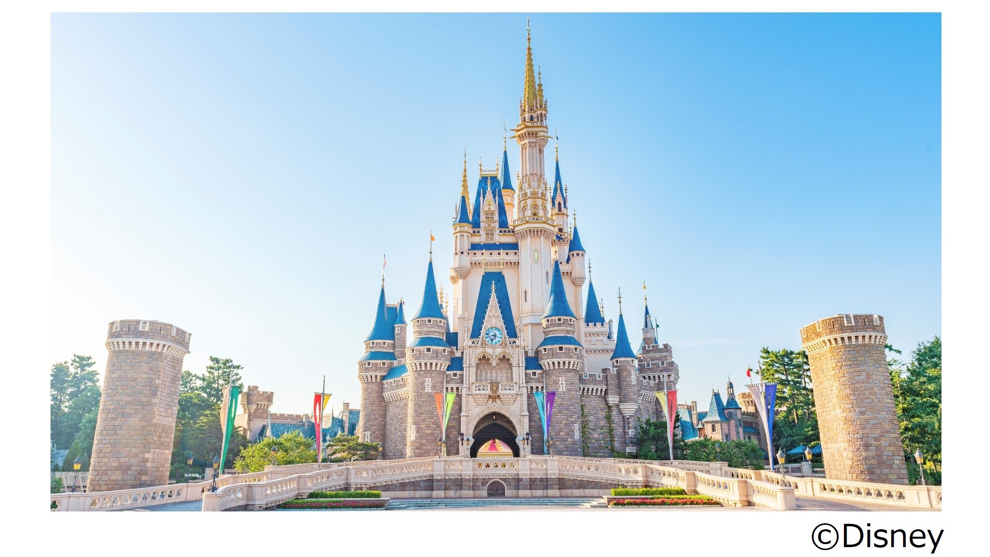 东京迪士尼乐园 (R)