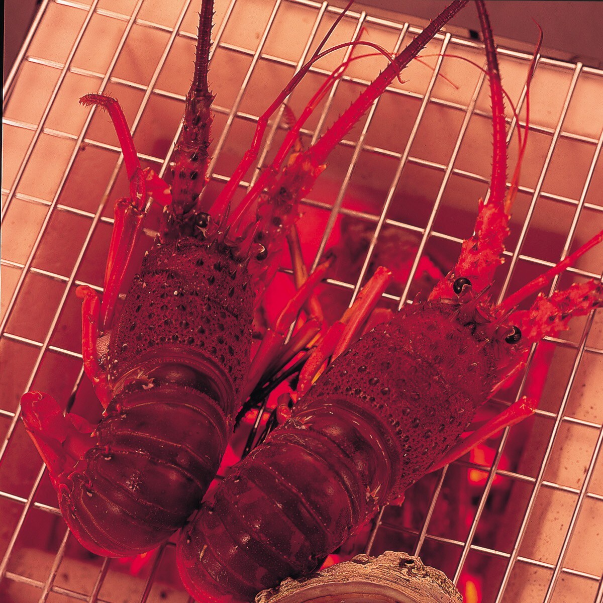 Grilled whole spiny lobster