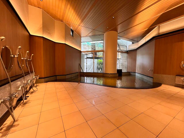 Large public bath on the first floor, Yaegaki-no-Yu