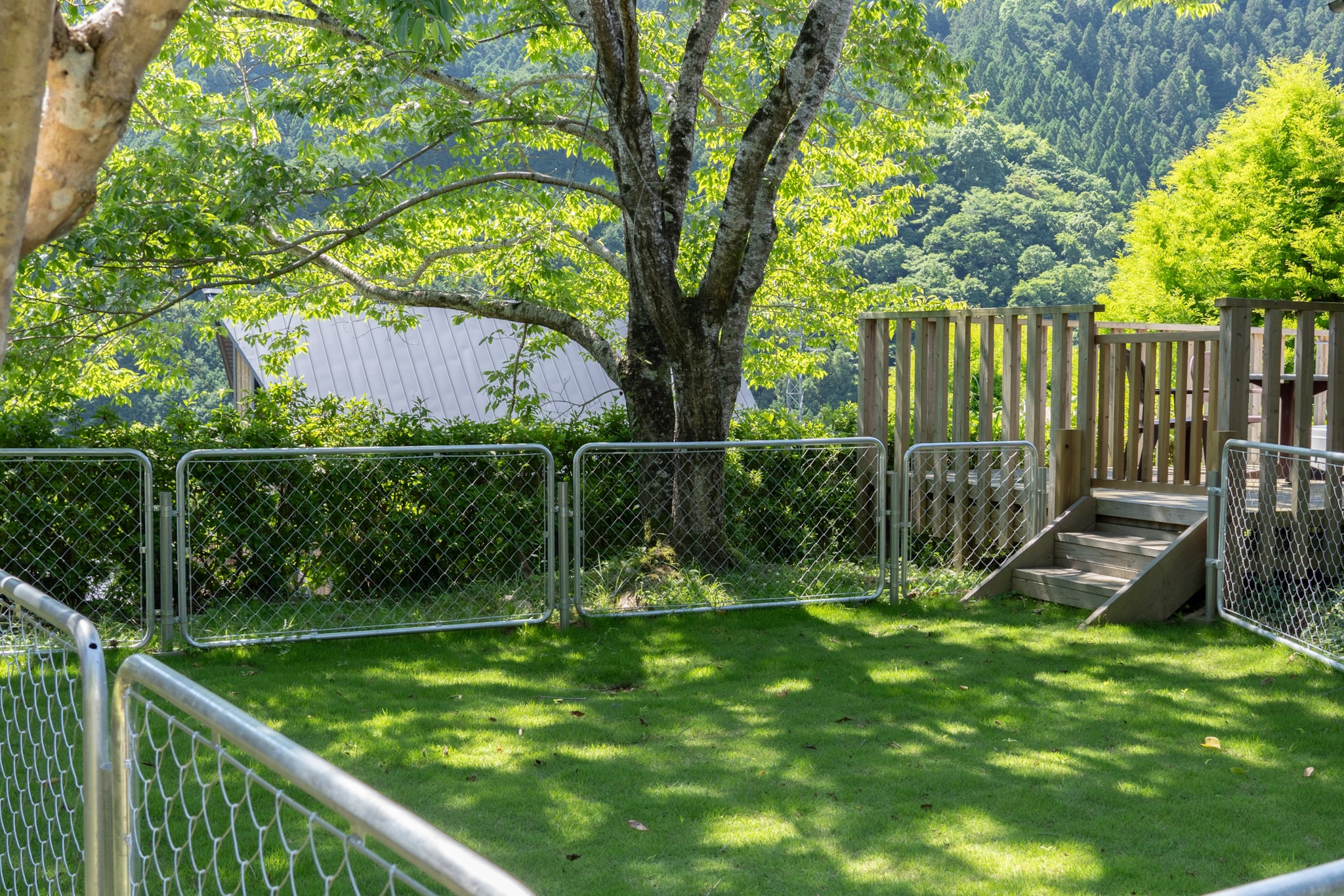允許攜帶寵物入住的按摩浴缸小屋（需穿泳衣），設有遛狗區