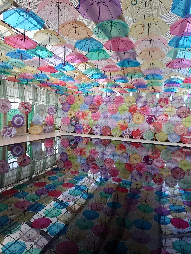 1000044832.jpg
