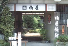 外观图