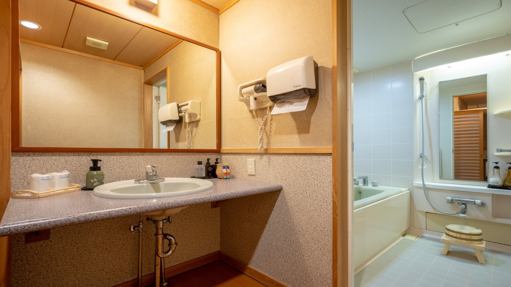 Japanese-Western style room with bathroom