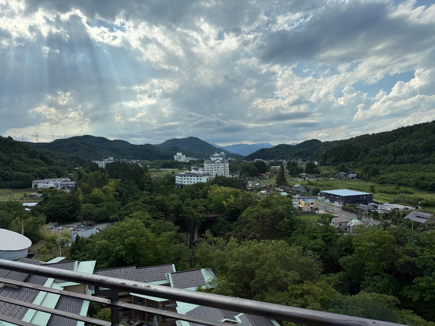 IMG_3342.jpeg