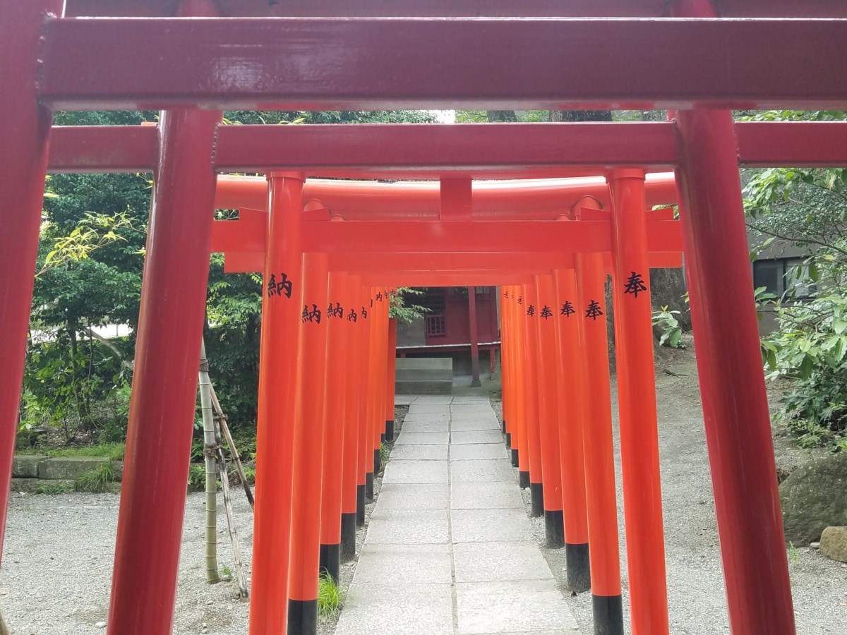 ★Kinomiya Shrine