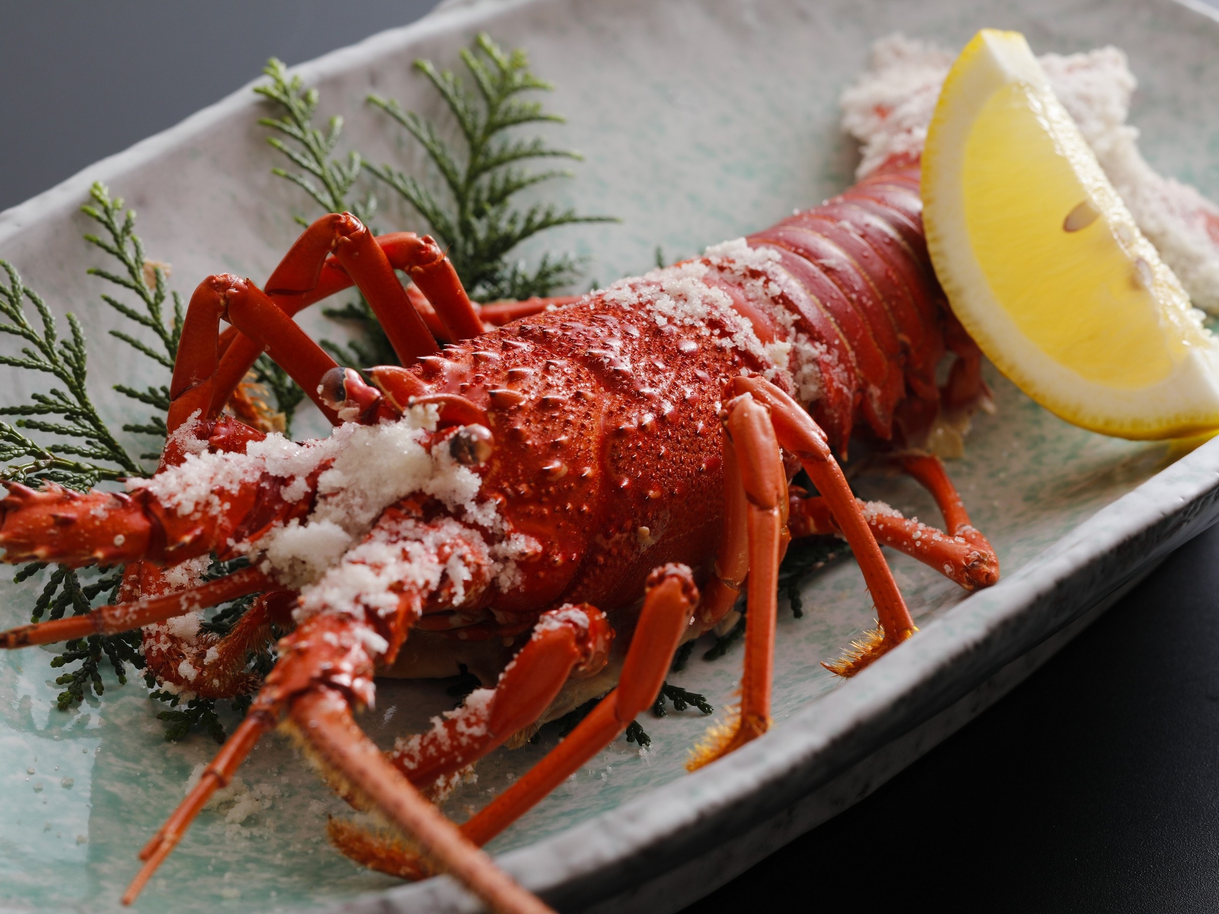 Grilled lobster with salt