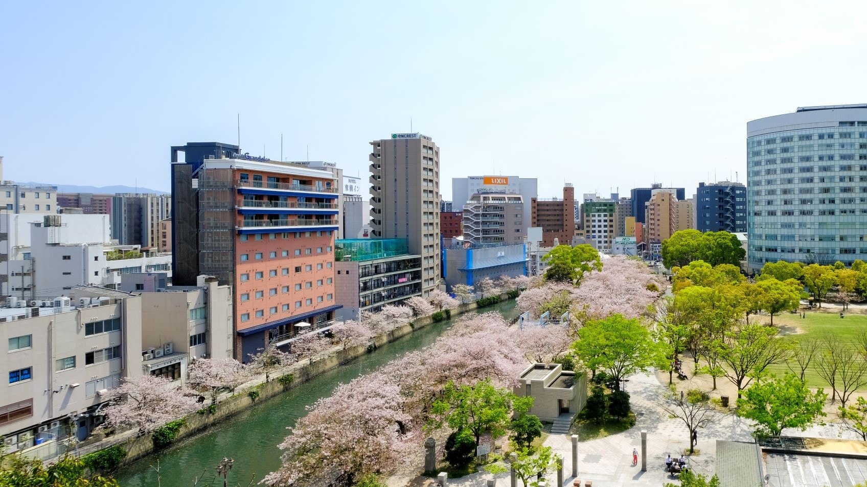 ホテル外観と天神中央公園