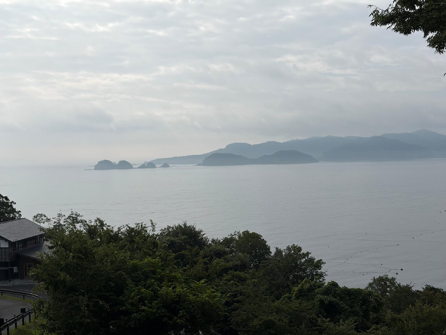 IMG_5460.jpeg