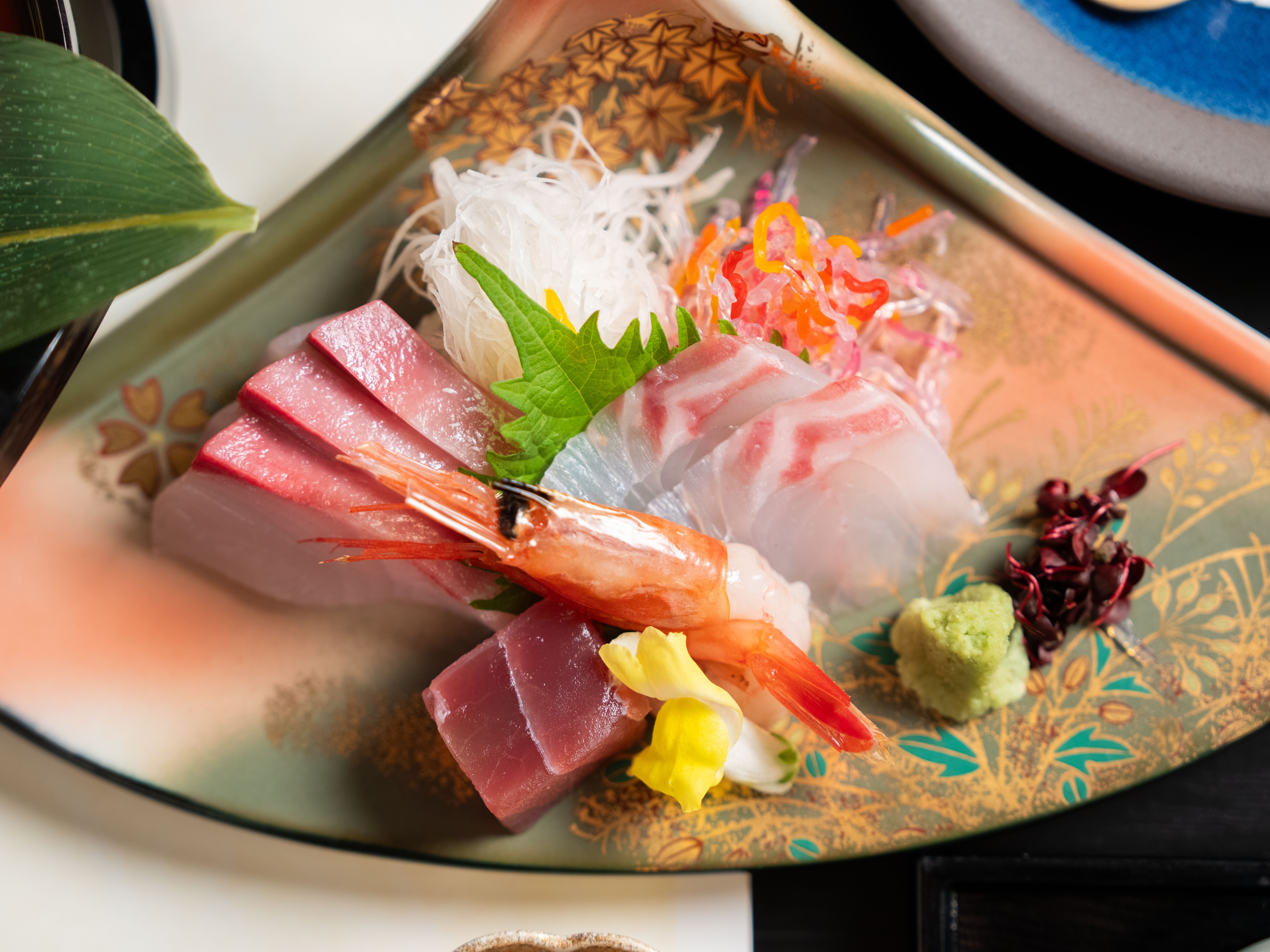 sashimi