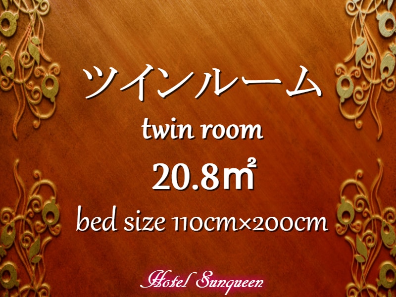 Twin 20.8㎡