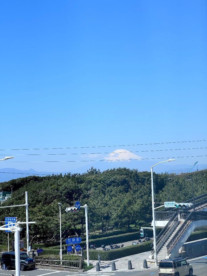 IMG_5268.jpeg