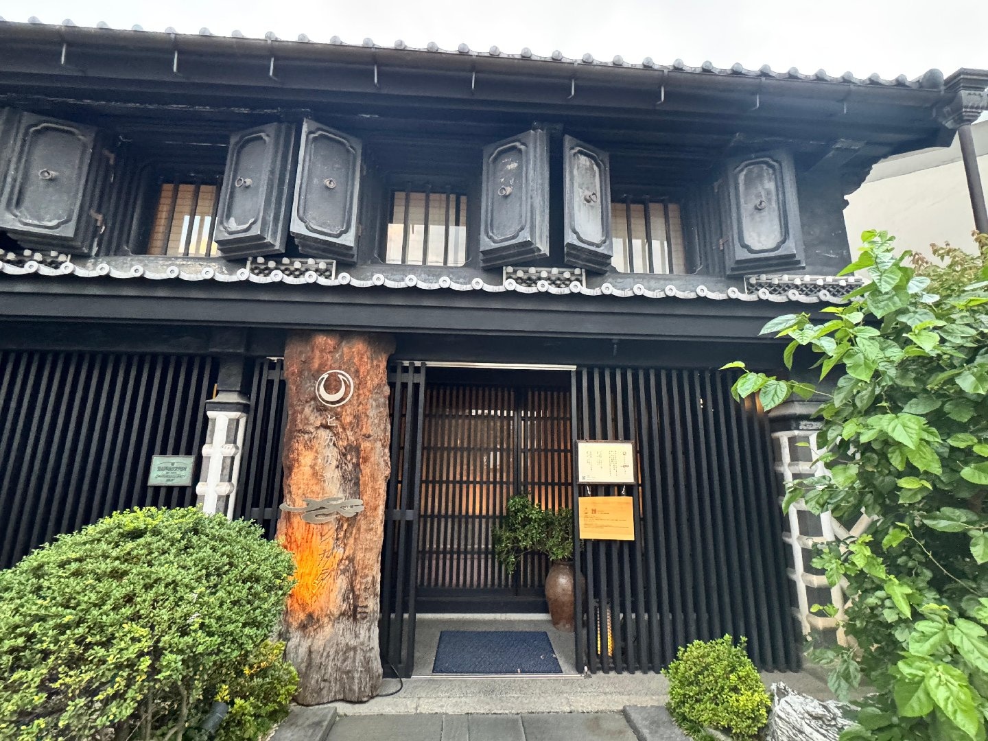 IMG_7091.jpeg