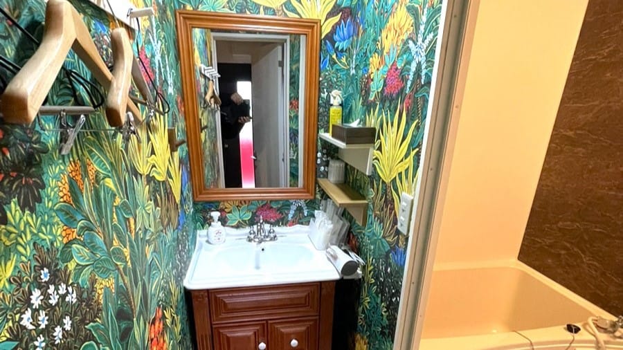 D-type (washroom)