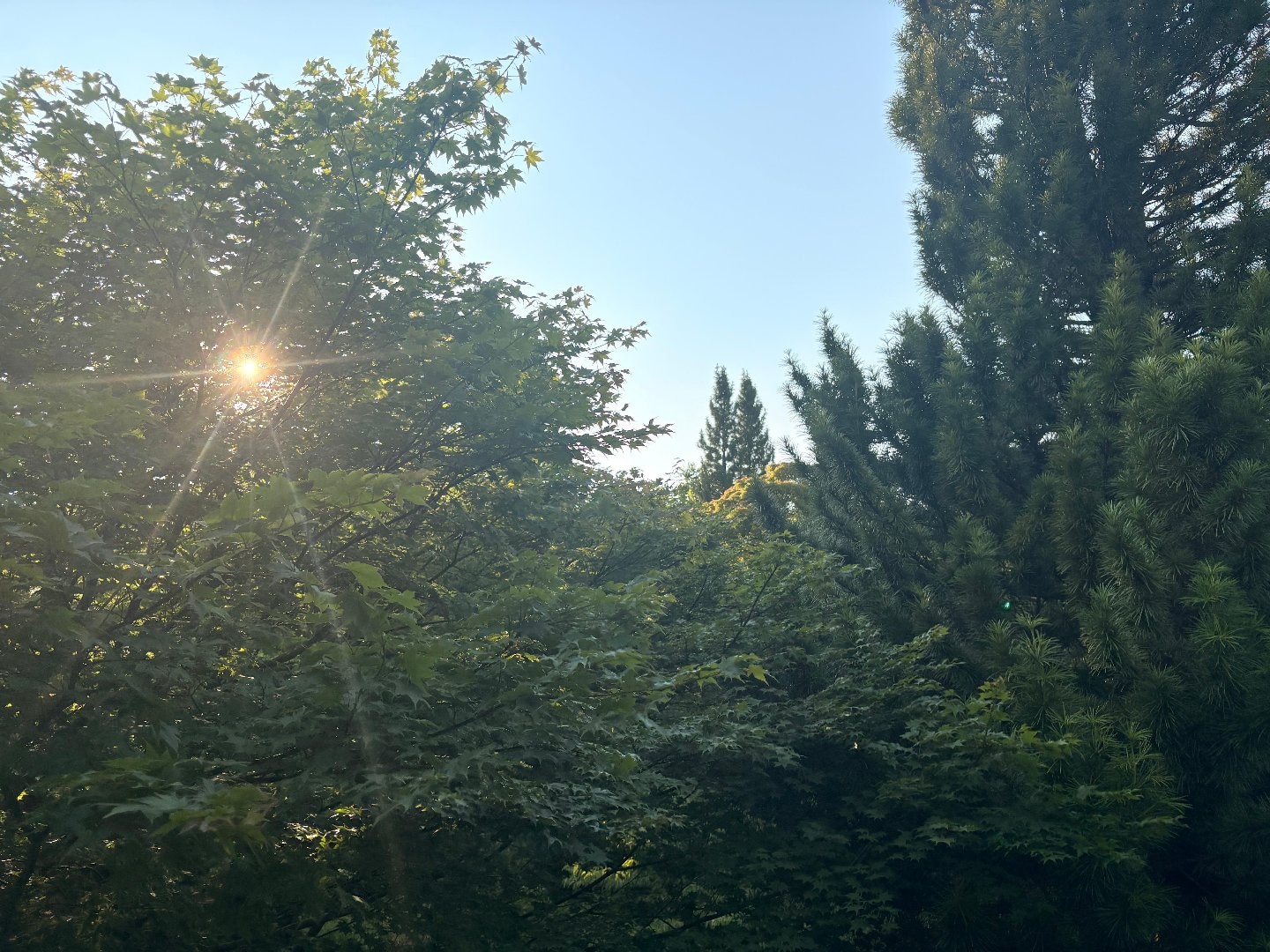 913E8C69-0B30-49F5-9E12-9BA49076FF0A.jpeg