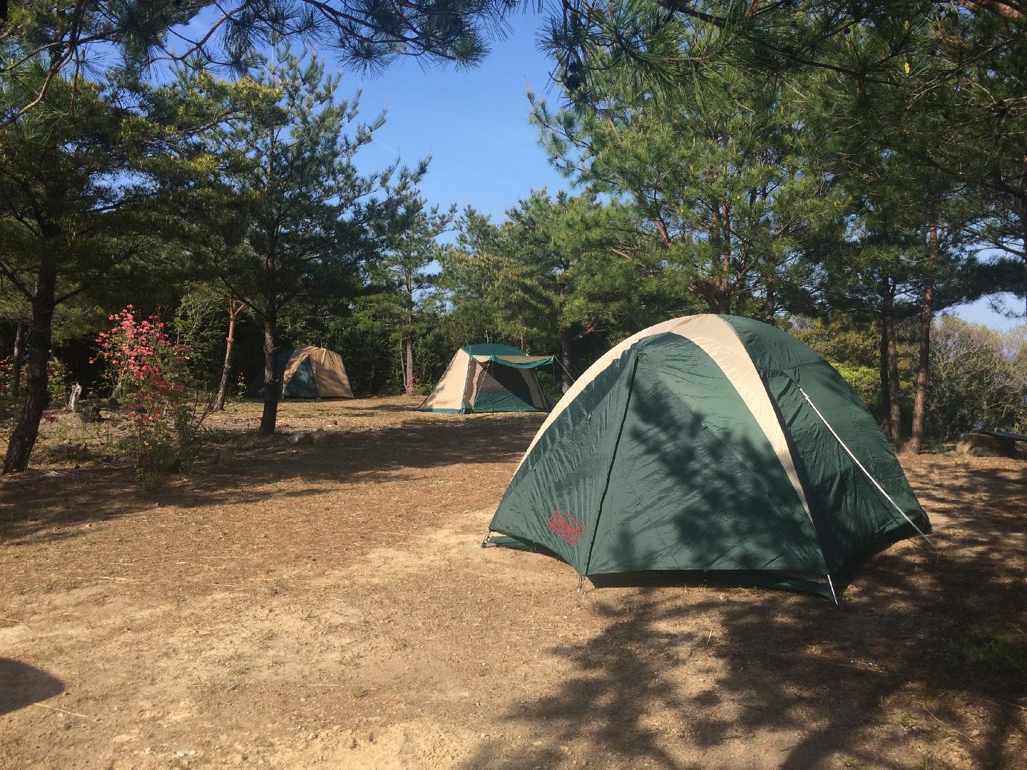 ・[Free Camp] Why not relax and forget about time in the great outdoors?