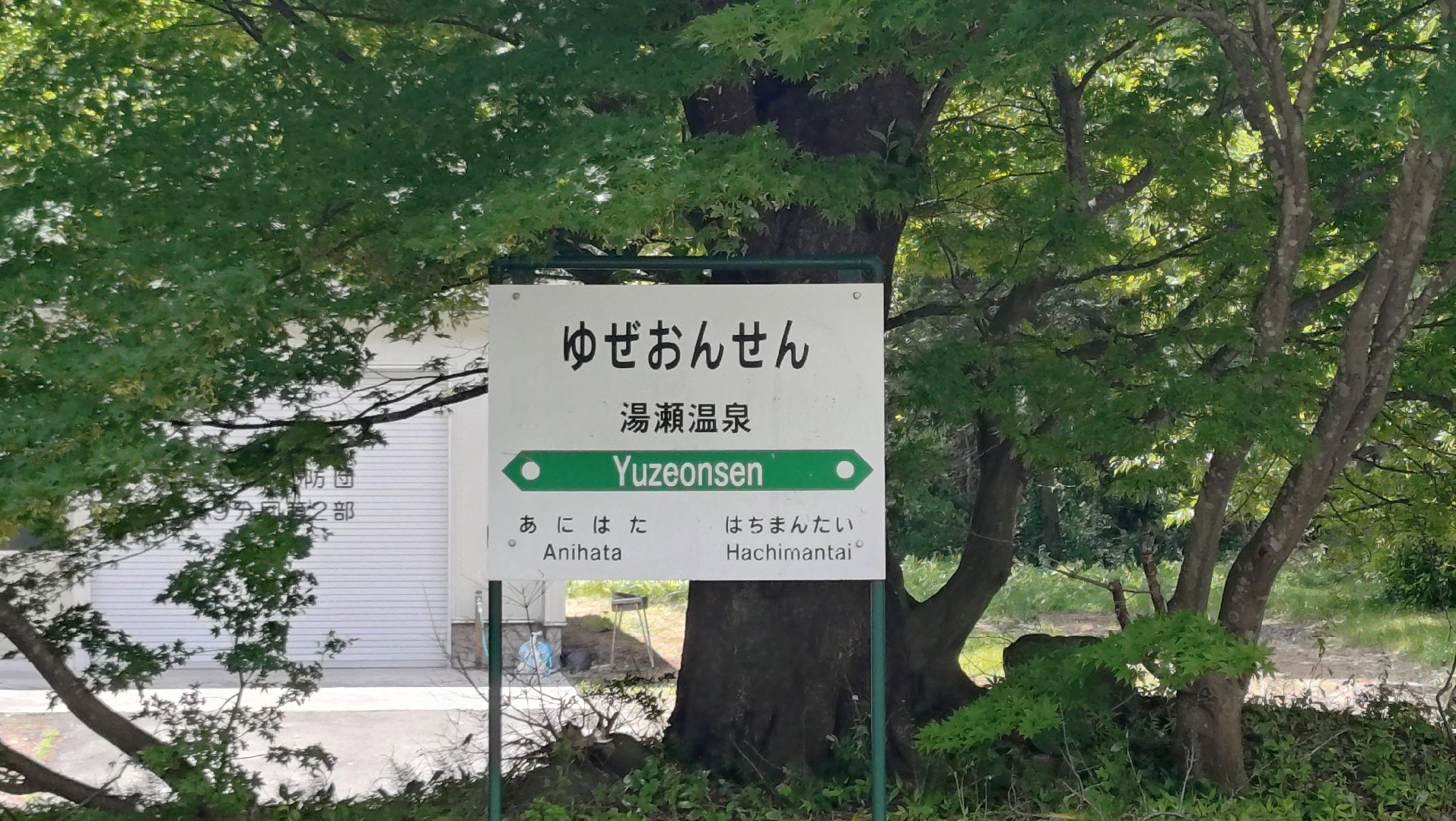 1000033225.jpg
