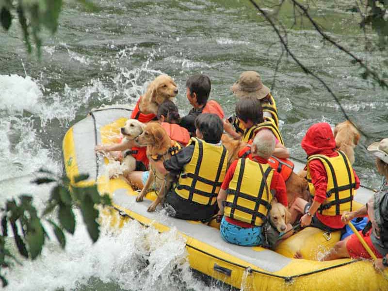 Shiribetsu River Rafting Tour - Private Tour with Wanchan