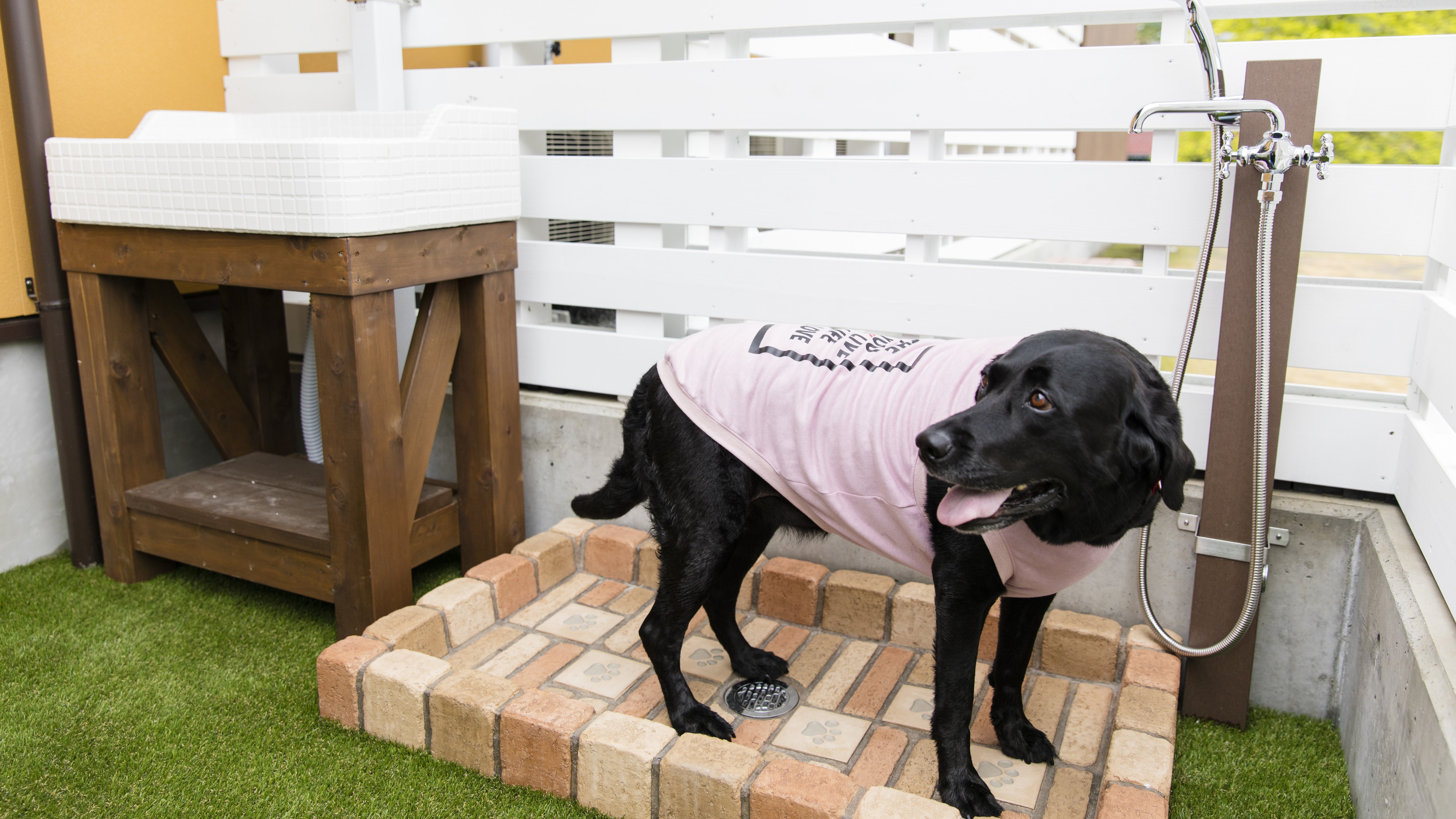 If your dog's feet get dirty, there is a washing area so feel free to use it.