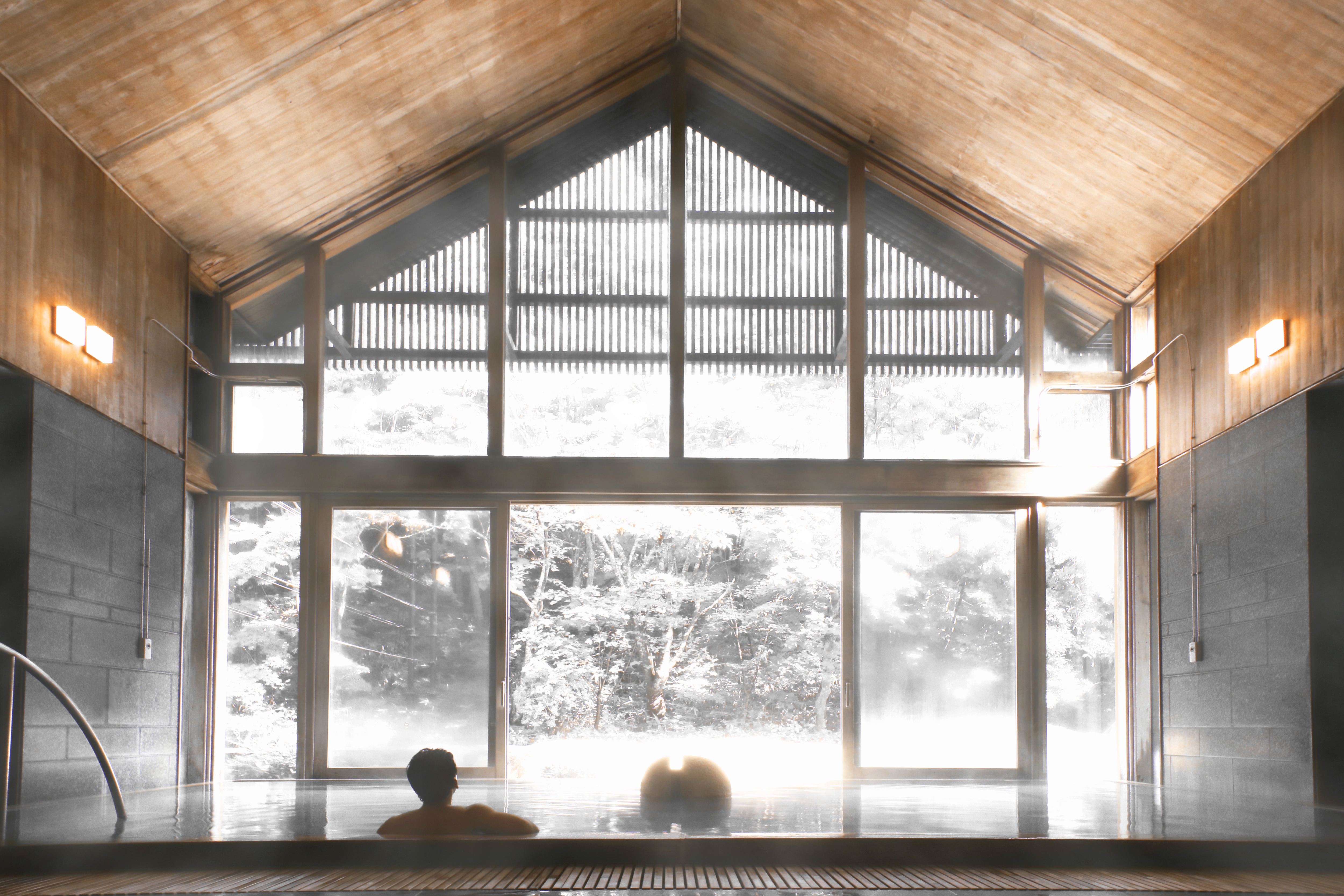 Hoshino Onsen Tombo no Yu