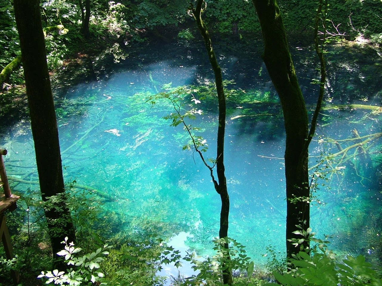Blue Pond
