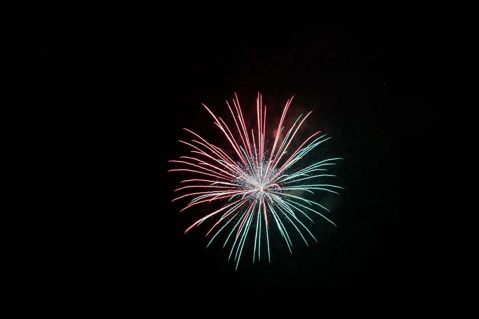 9BF7210D-ABF9-41D1-B90D-9883AE64F928.jpeg