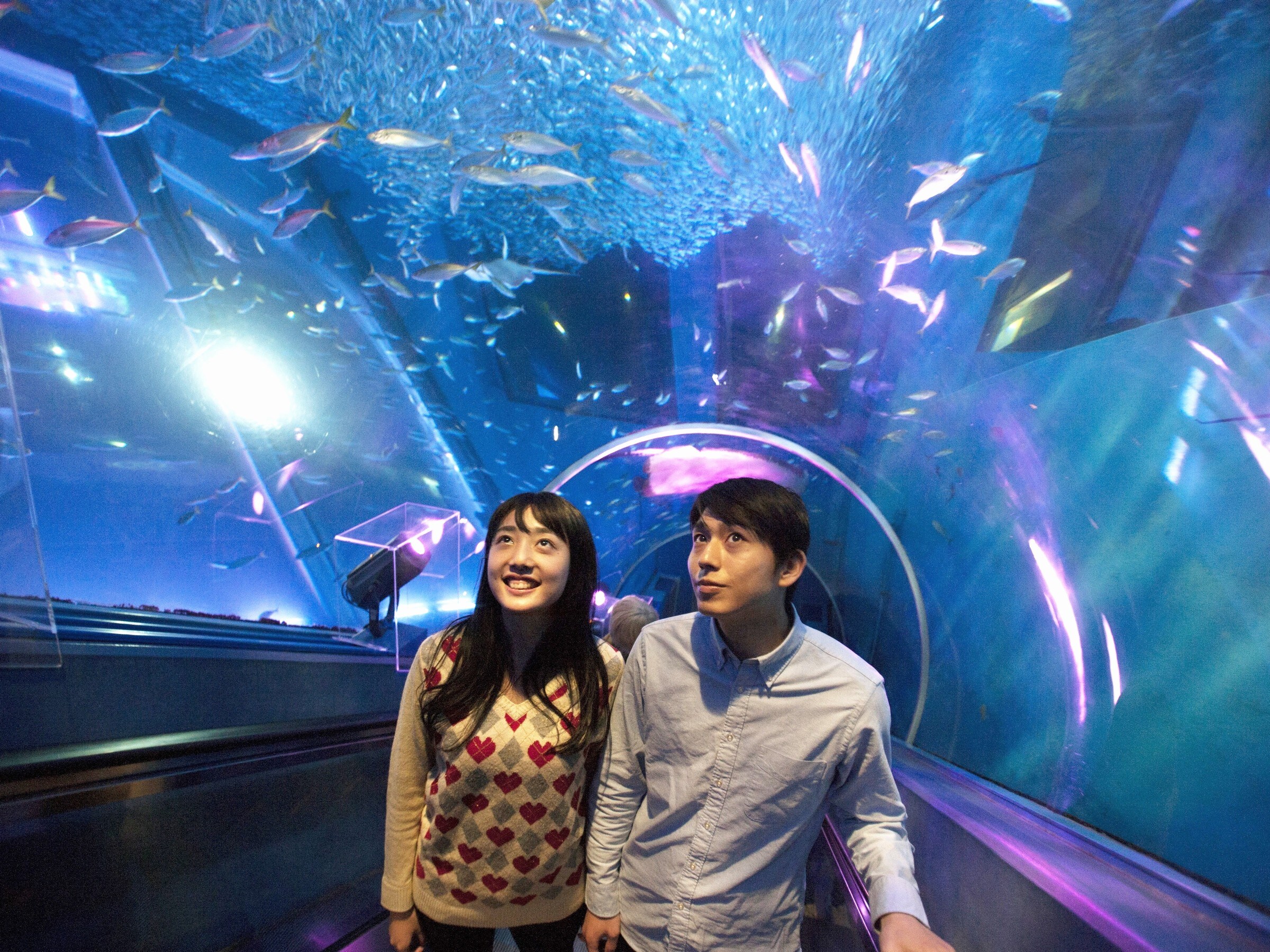 Yokohama Hakkeijima Sea Paradise. Don't miss "Aqua Tube"!