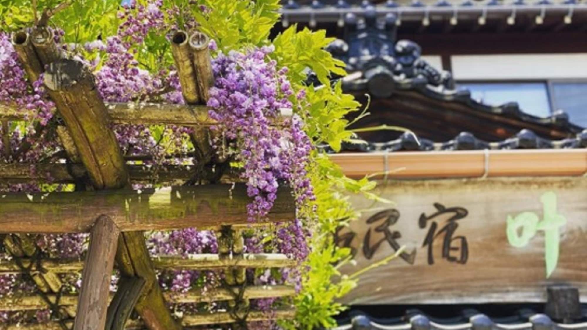 Wisteria Flower Entrance [Exterior image]