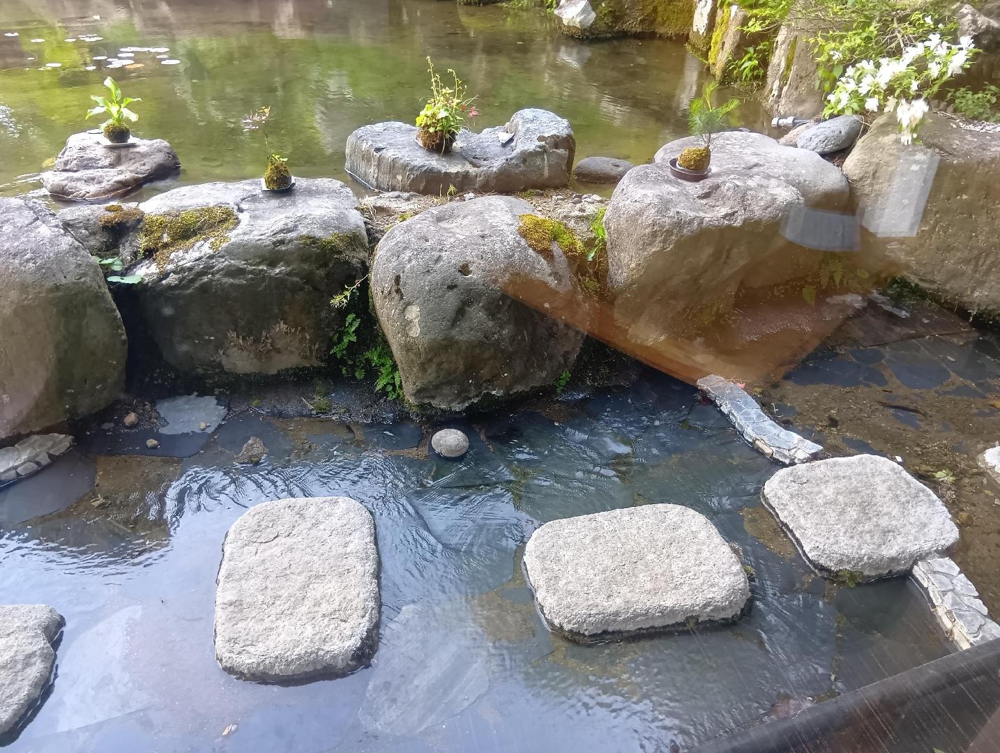 260523150437792.JPG