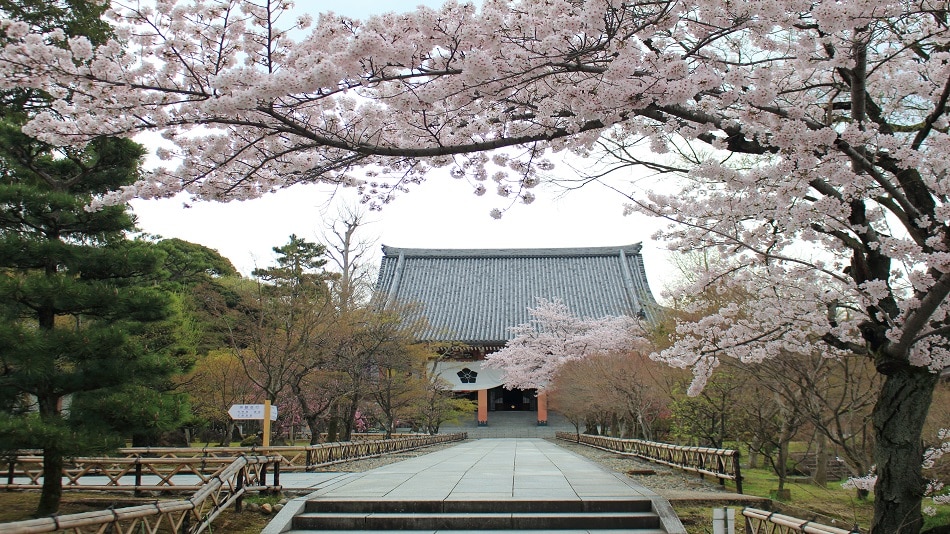 Chishakuin Sohonzan Kondo Spring