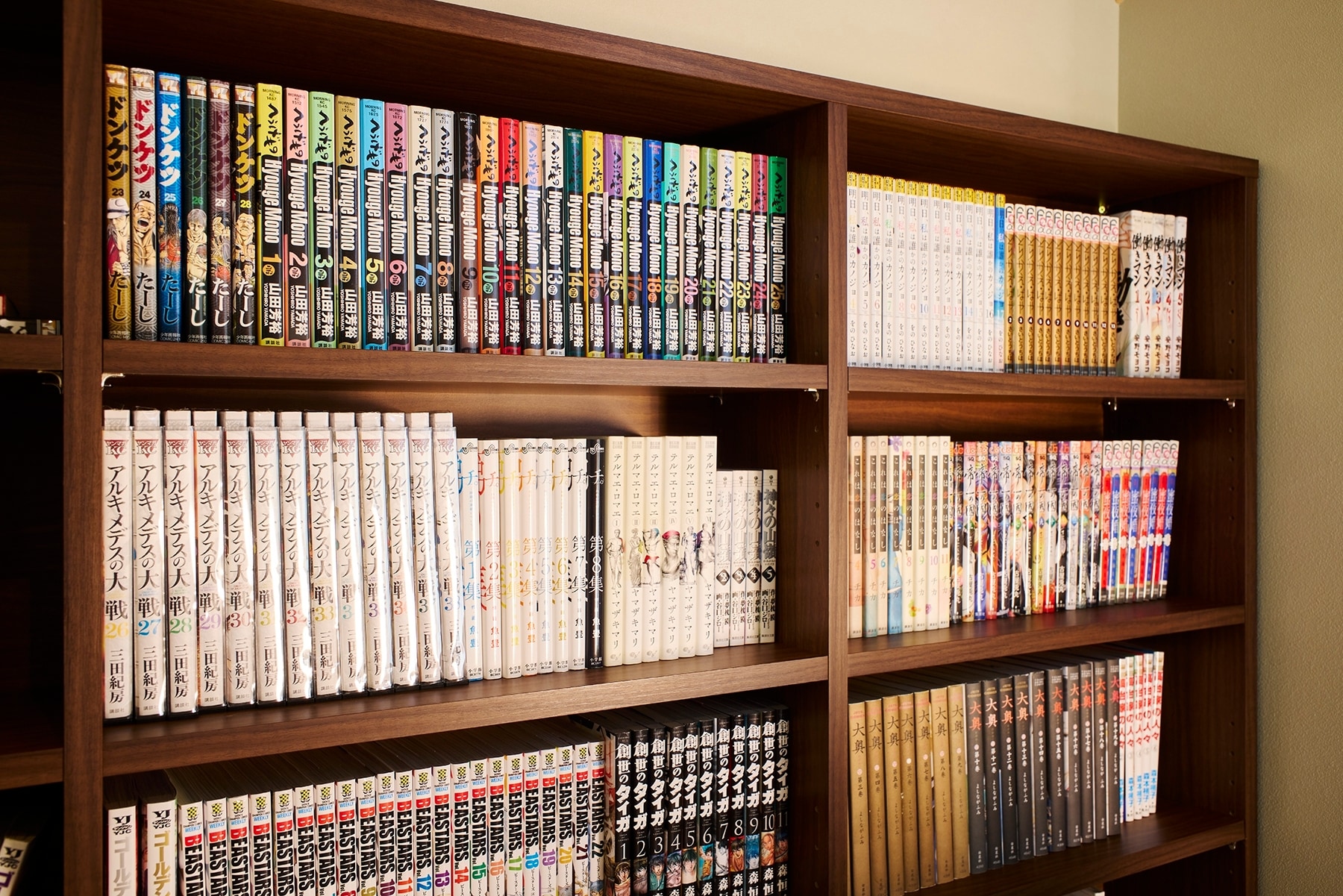 A comic room with a wide variety of manga