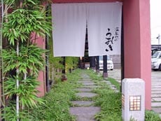 Appearance image
