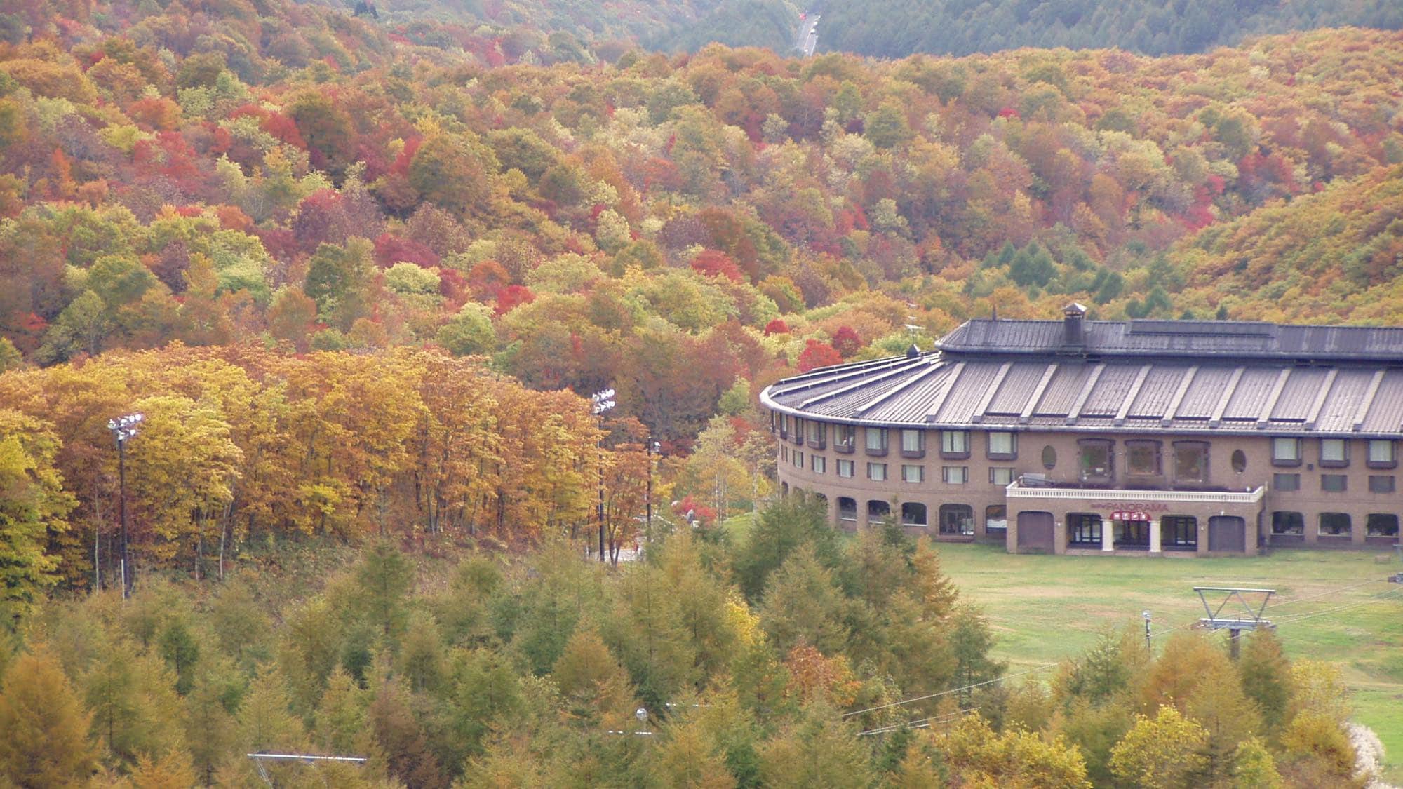 Bahkan di musim gugur daun, Anda dapat menikmati suasana yang fantastis dengan pegunungan berwarna 360 derajat.