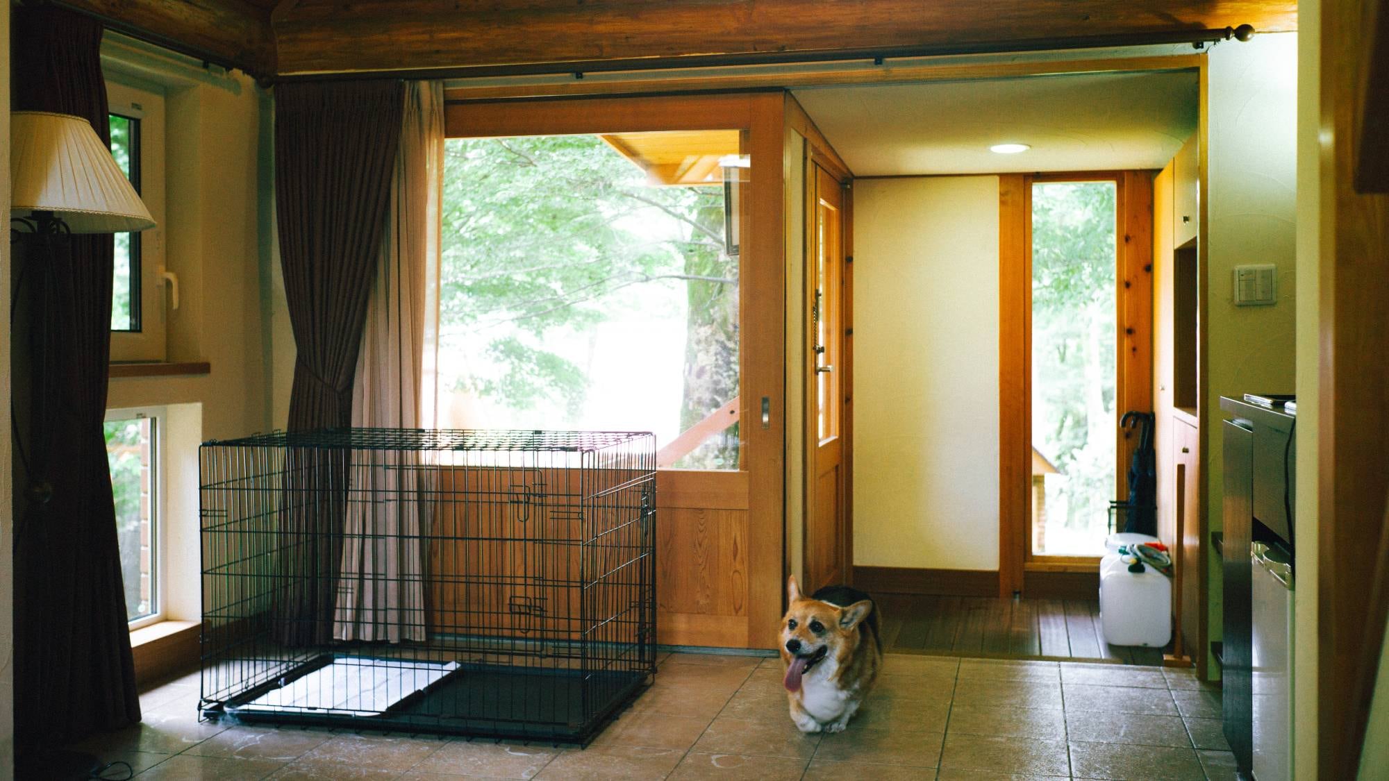 Dog Friendly Villa Entrance Cage