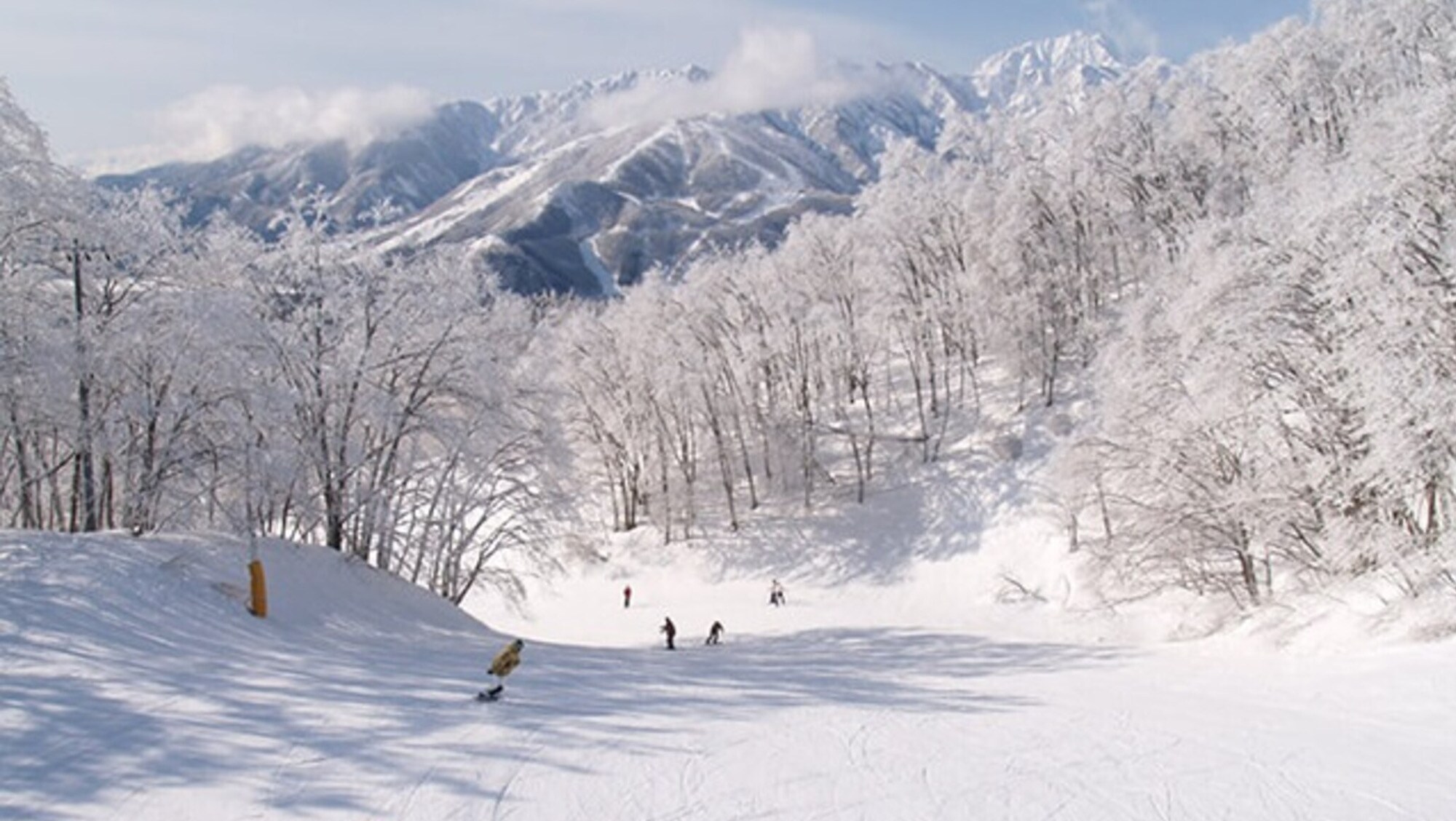 Hakuba Iwatake Snow Field