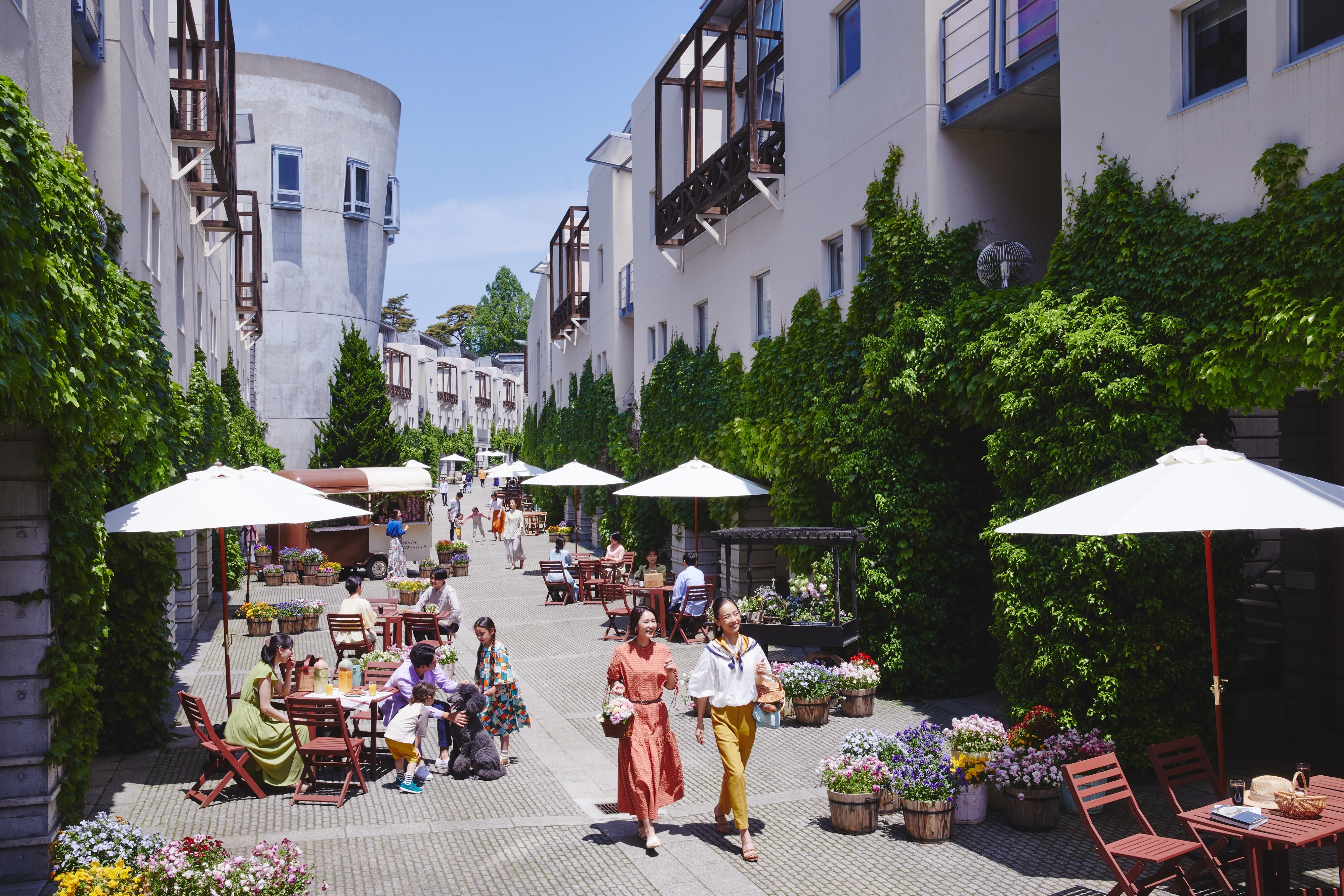 green pepper street