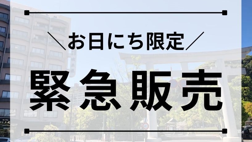 数量限定！緊急特別プラン販売中