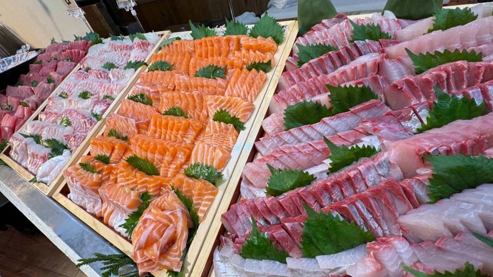 저녁 뷔페로 대인기의 회는 아마쿠사 직송♪