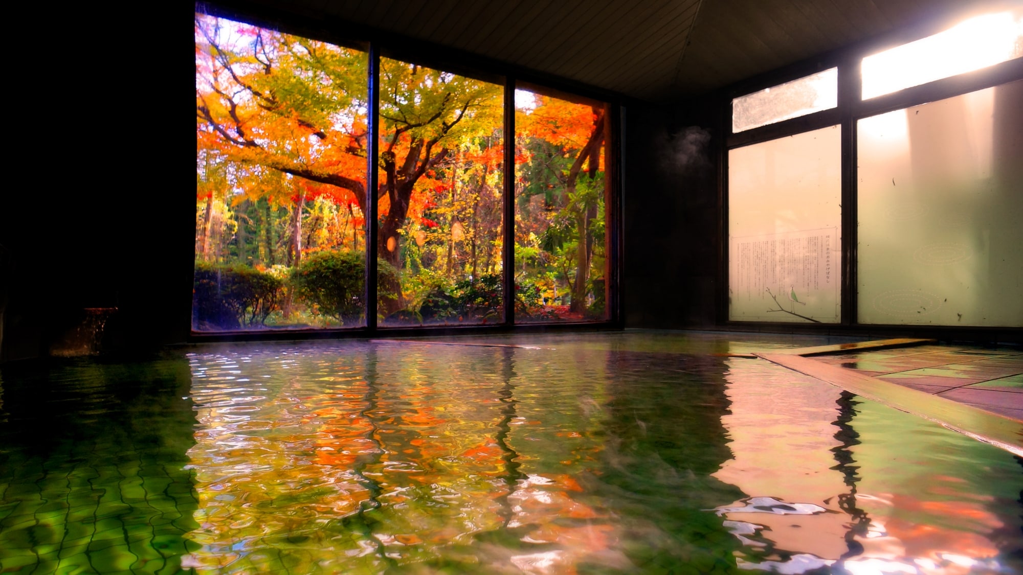 *Pemandian besar (dedaunan musim gugur)/Anda dapat melihat dedaunan musim gugur dari pepohonan gugur di tempat.