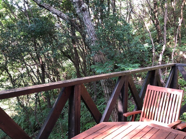 這是有原因的！從[森林裡的寵物房]露台看到的風景