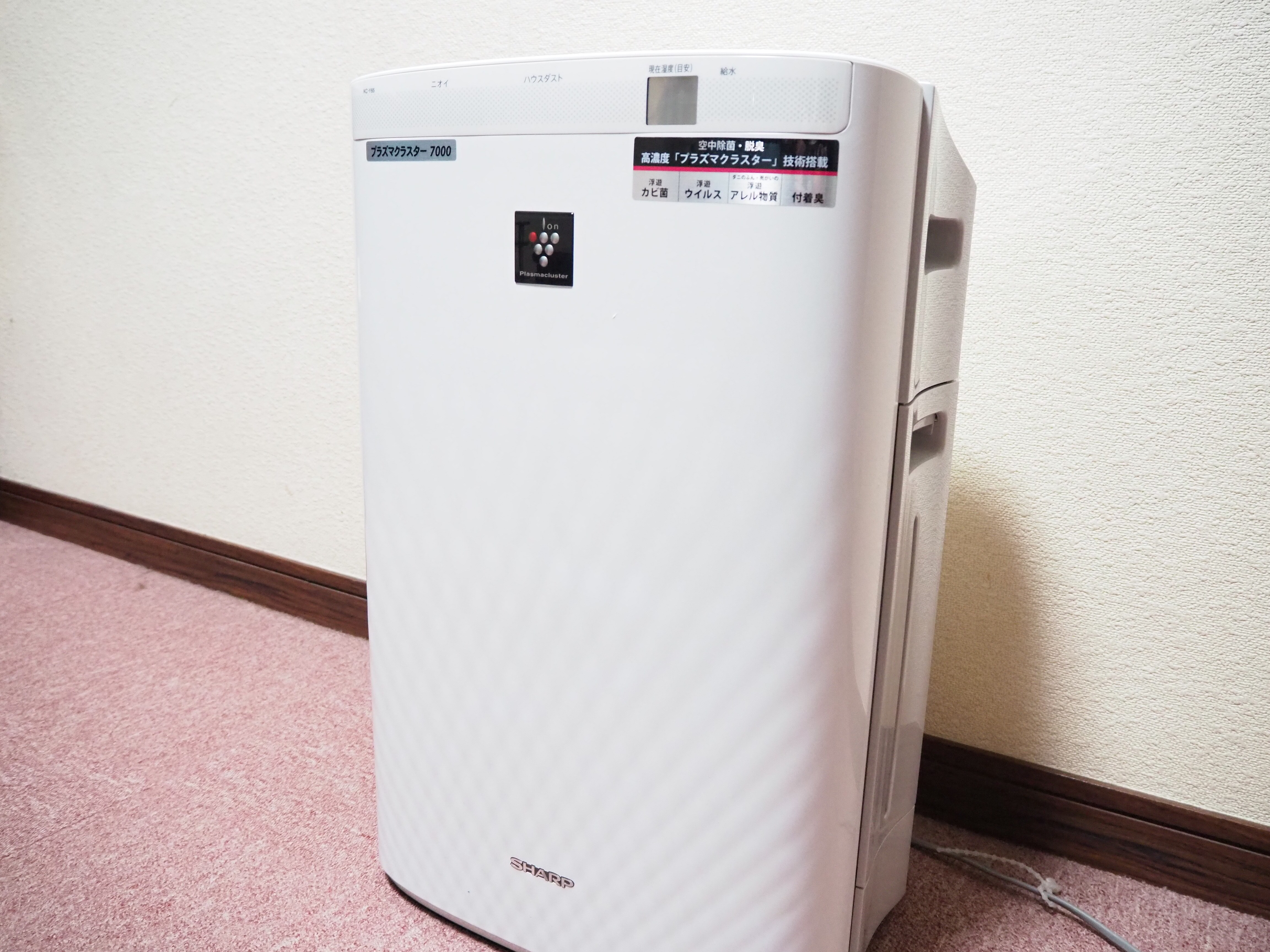 All rooms are equipped with air purifiers with humidifier function!