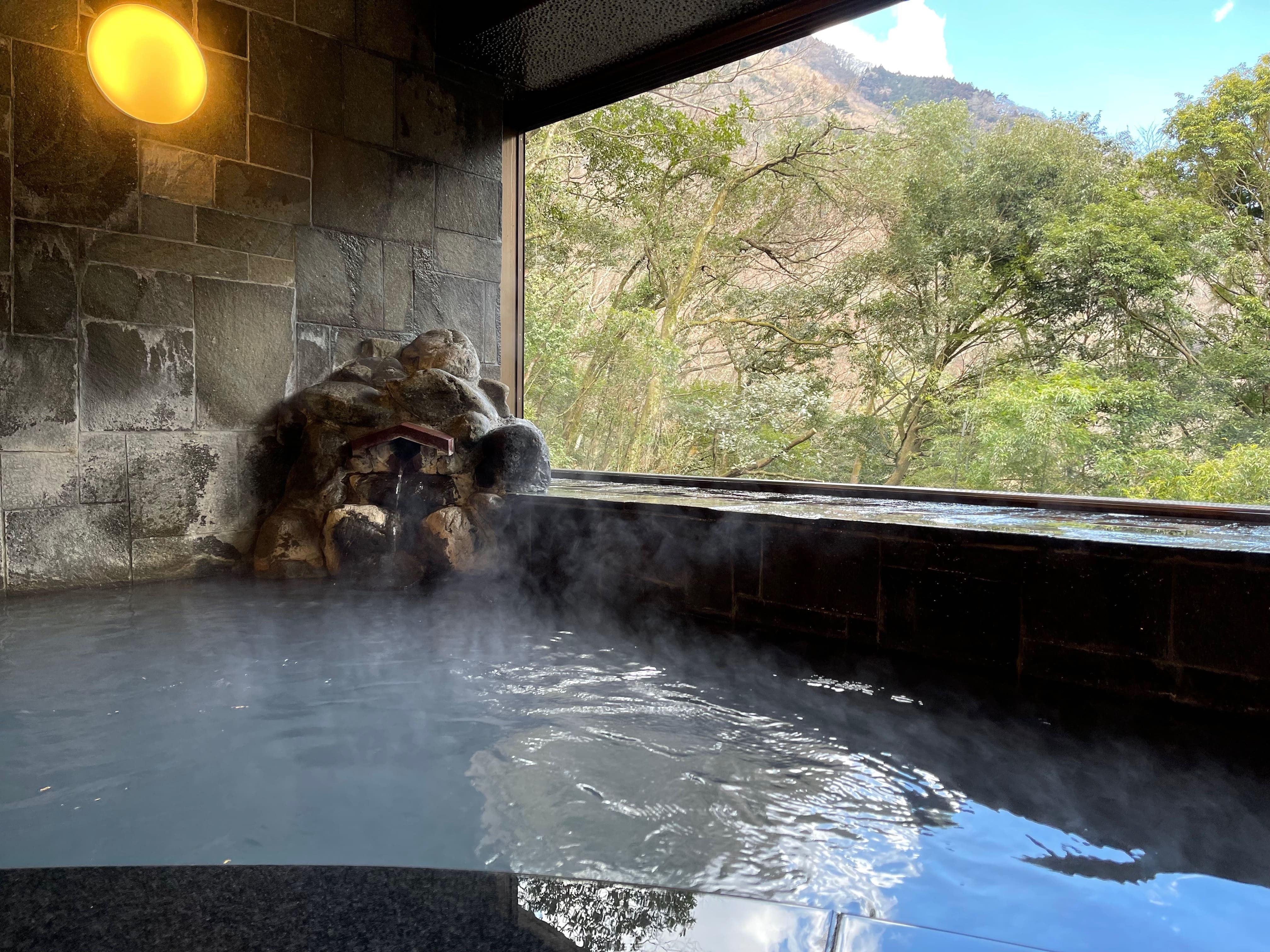 Micro-Nano Bubble Large Public Bath
