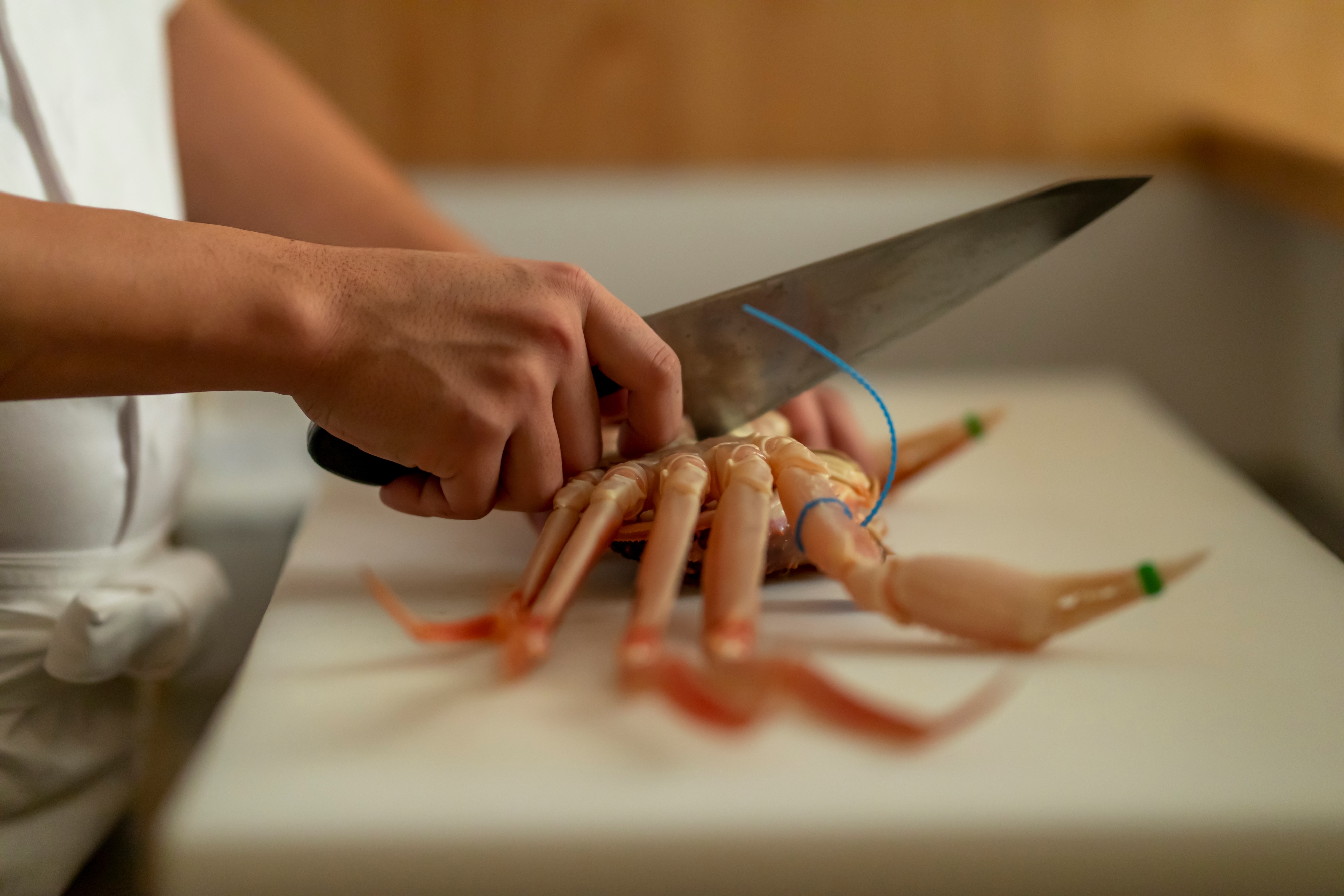 [Memasak pemandangan] Hati-hati menangani kepiting salju satu per satu.