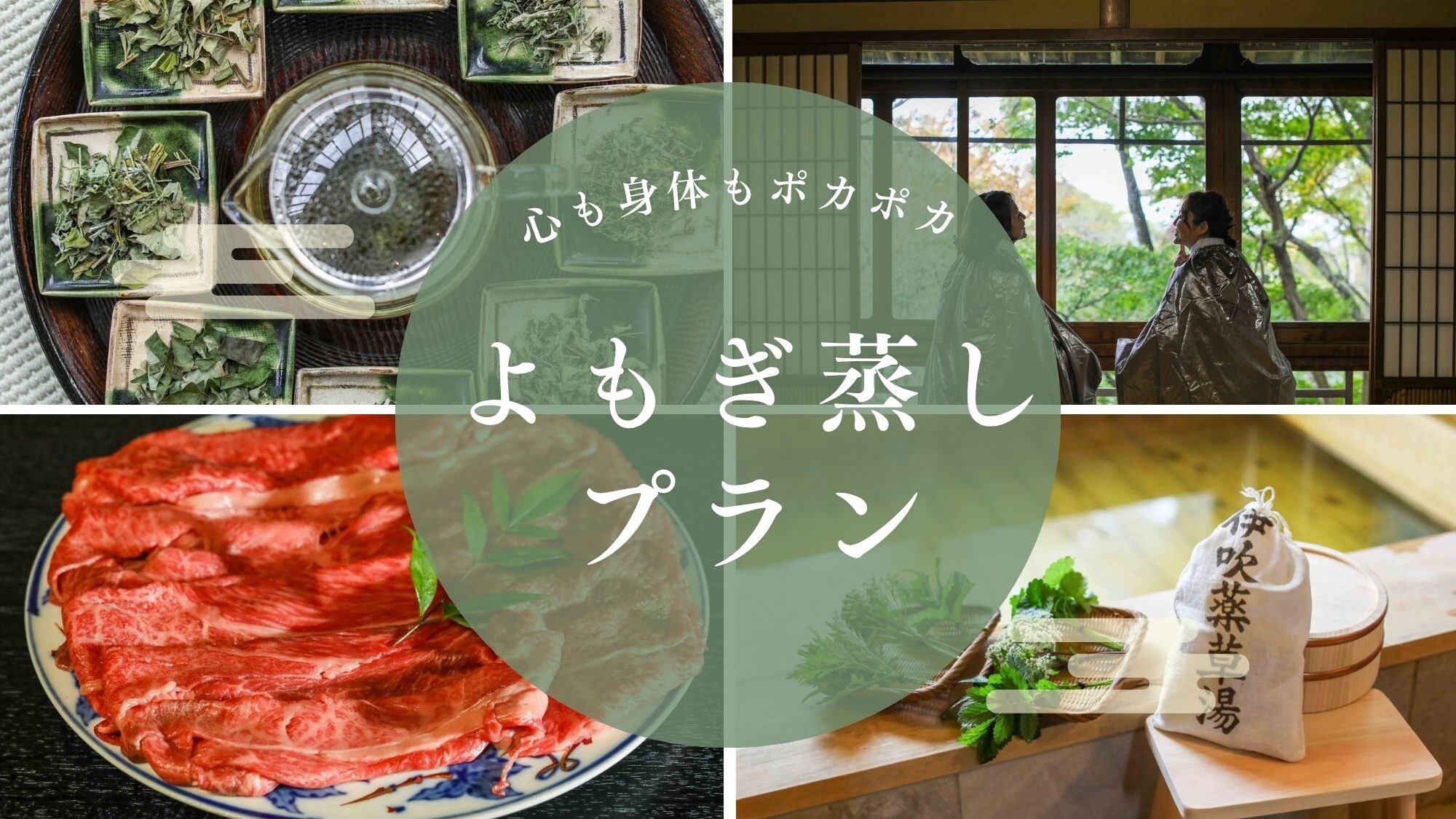 艾草蒸煮計劃