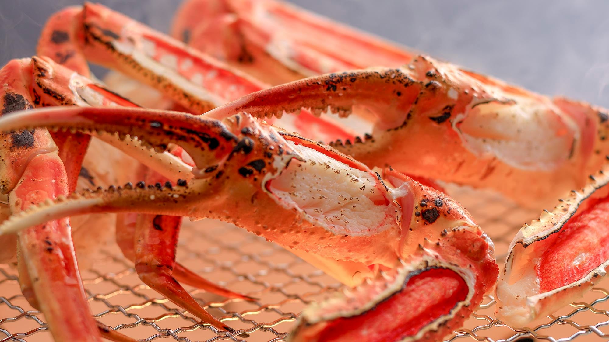 [冬季/晚餐] 烤螃蟹 [示例]