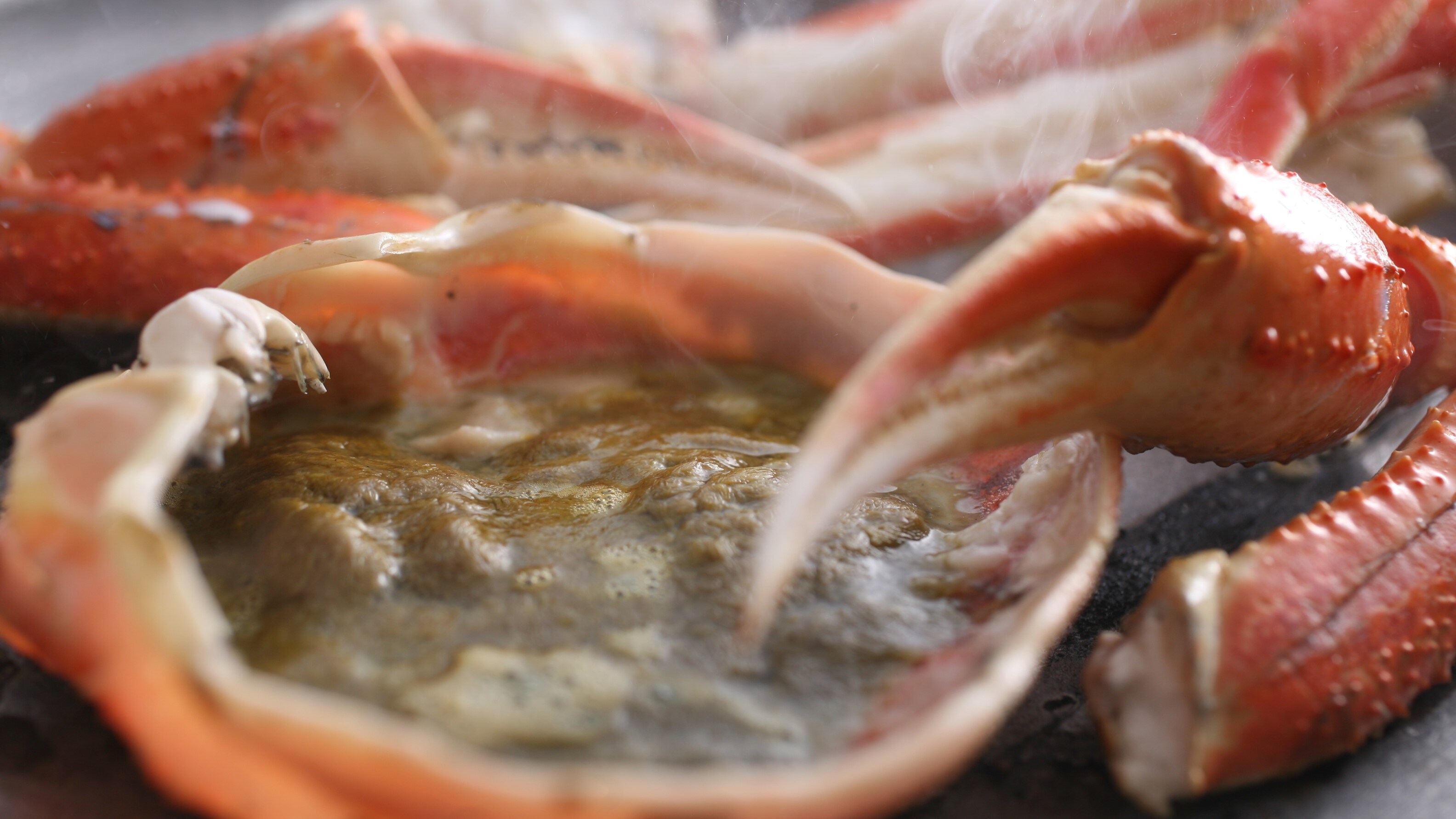 【烤蟹】请品尝用陶盘烤熟的螃蟹和浓郁的蟹味噌！