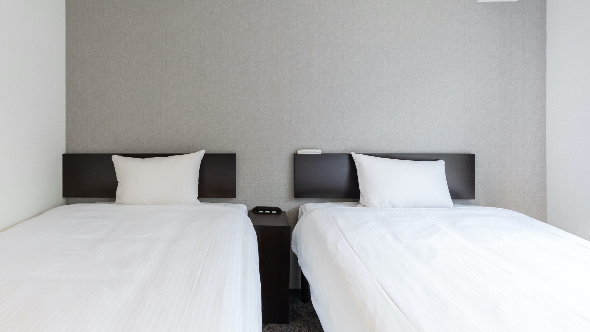 [Non-smoking] Twin room